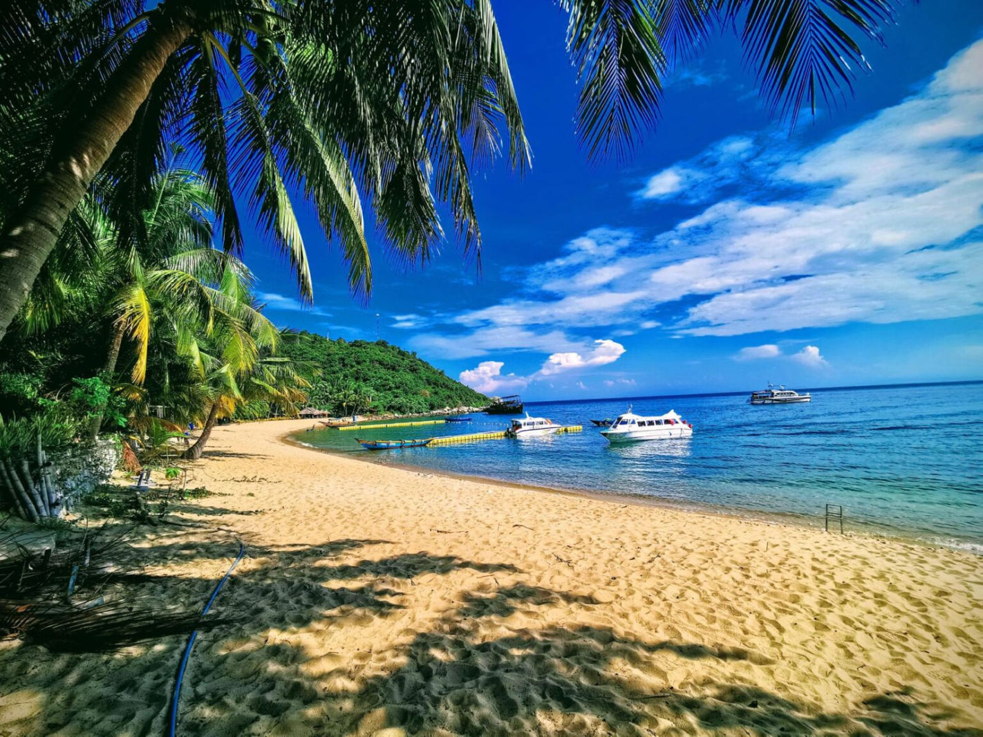 Cham Island Snorkeling & Seafood Lunch (Full-Day Classic Tour from Da Nang)